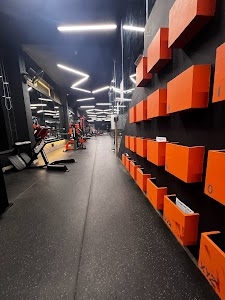 GYMNACITY The Body Technician
