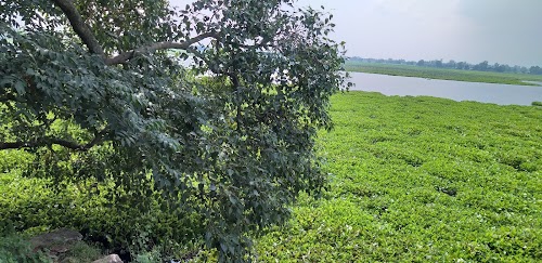 Hagva garden ?
