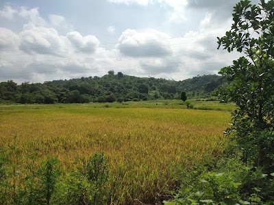 Dushmi