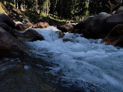 Daksum