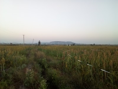 Bagalwada