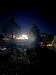 Tea Garden