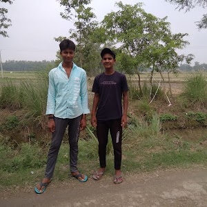 Lasara Kala