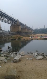 Balitora