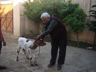 White Gold Dairy Farm