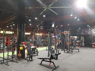 Iron Paradise: Best Gym in Mira Road