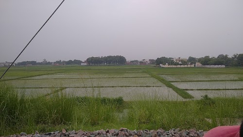 Janso ki madai