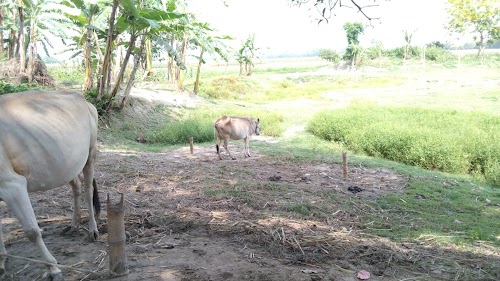 Uttar Paria