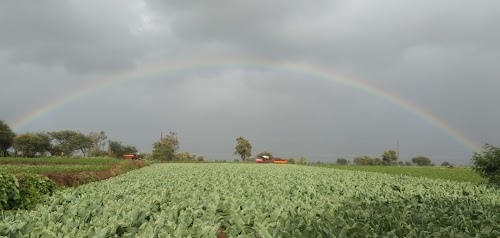 Kolharwadi
