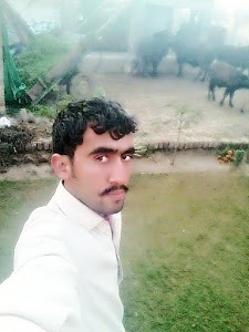Ali Extension, Ali