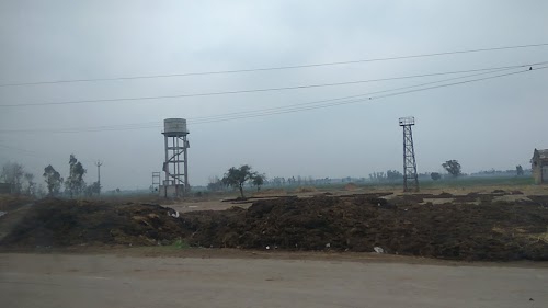 Dana Mandi Hardorwaal