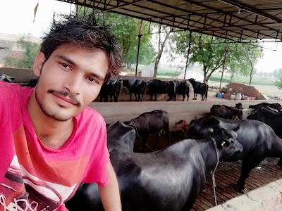 GODARA DAIRY FARM