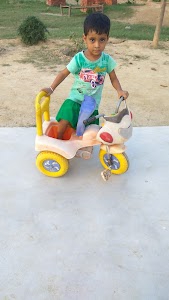 TAMOLI BAAG
