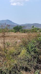 Rangamatia