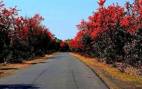 Madhupur