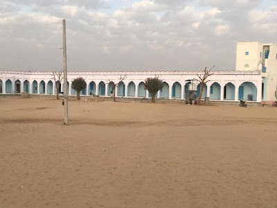 Palina