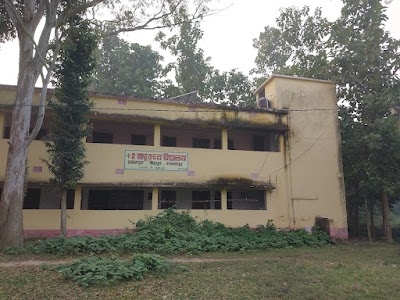 Bapu High School ,Dayalpur,Bihpur