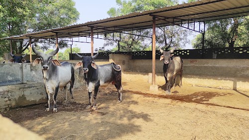 Livestock Research Station