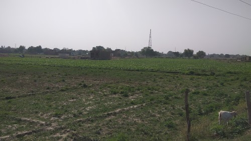 Sikandra