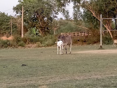 HARIHANSA PLAY GROUND
