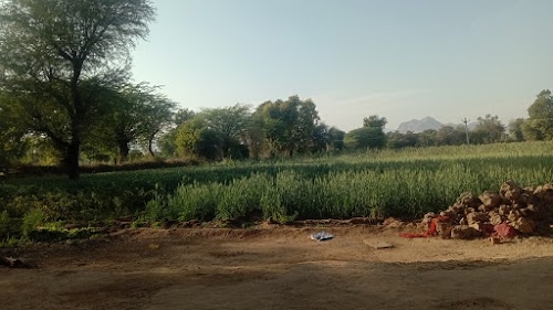 Dangara