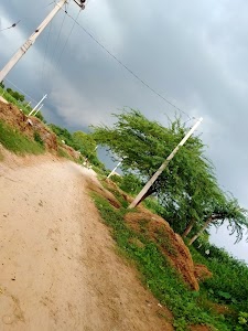 Himayunpur Rohai