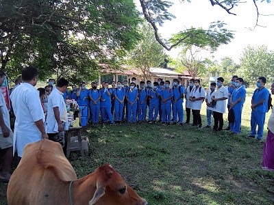 Gogamukh College