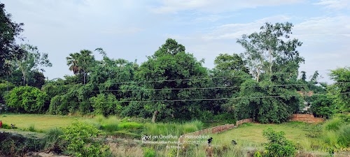 Belwa Alam Das