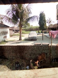 Semri
