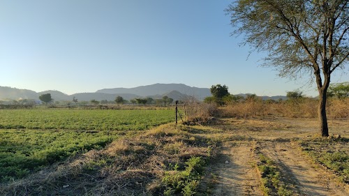Rawta ki dhani