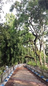 Korola