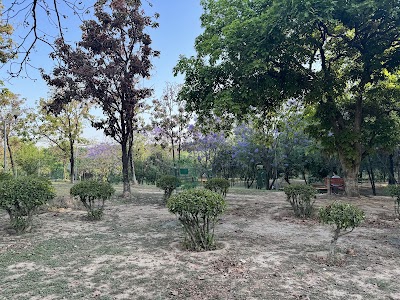 Leisure Valley Park Mohali