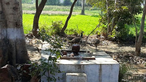 Kagarol