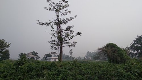 Keotal Shanshan