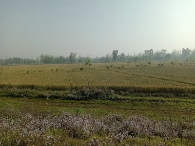 Bityaa