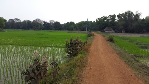 Biswanathpur
