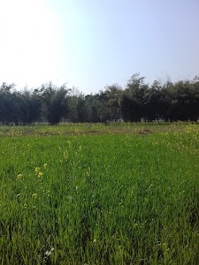 Karhara