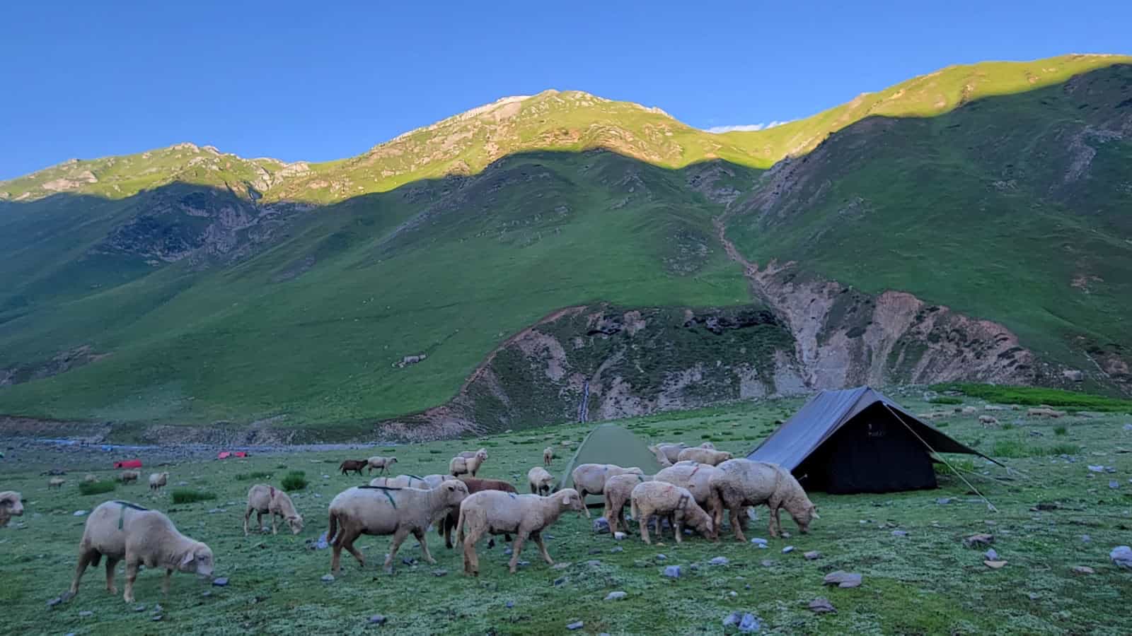 Vishansar Campsite