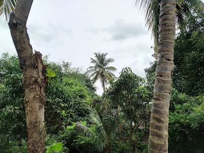 Satara-road (Padali)