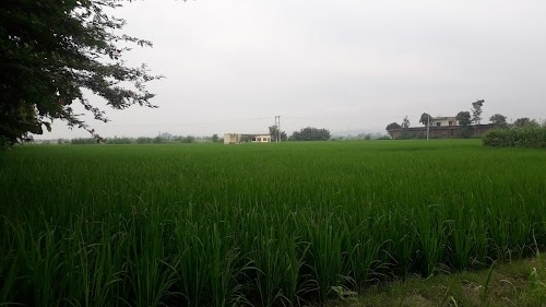 Oxygen Village Raipur