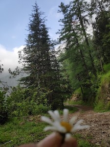 Mulkoti