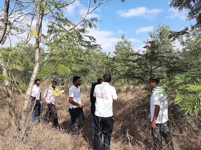 UPL Social Forestry Plantation, Mandva