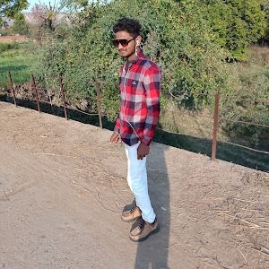 Bahraicha