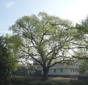 Bharathipur