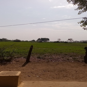 Kotla Khedi