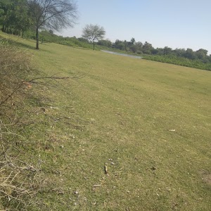 Nirmali