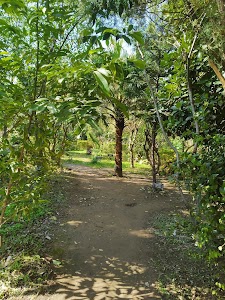 Botanical Garden (GDC Udhampur)