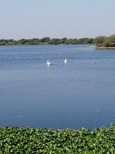 Gavridad