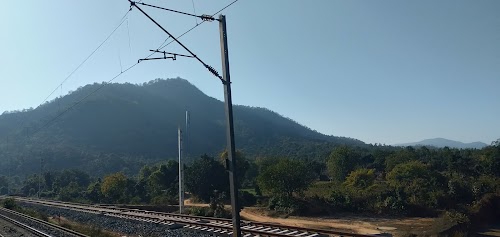 FOREST AND HILLS