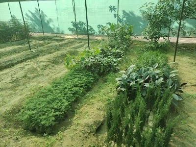 Keshripura